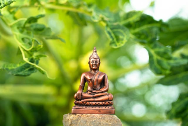 Curso Zen Shiatsu para todos